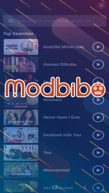 net mirror apk download