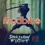 Shadow Fight 2