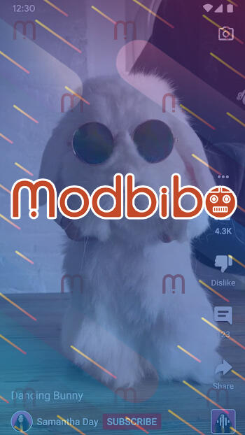 youtube mod apk premium unlocked pro