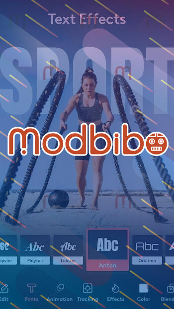 videoleap mod apk unlocked