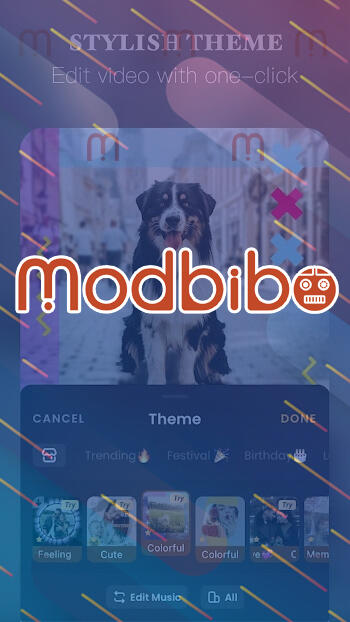 vivavideo pro mod apk free download