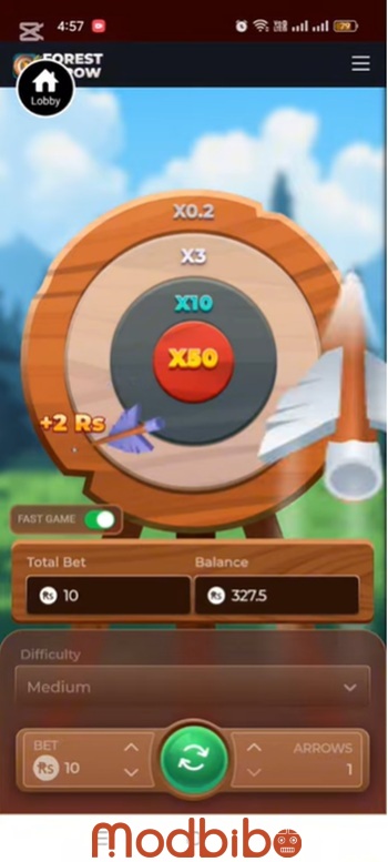 arrow shooting game