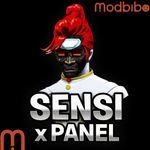 Sensi x Panel