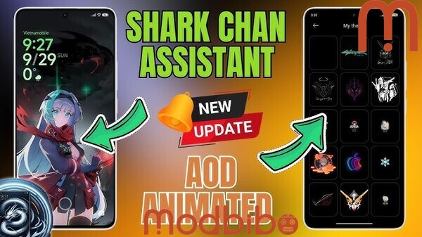 Shark Chan APK download