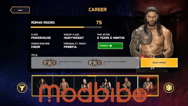 wwe 2k25 download custom characters