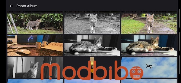 65x24 film camera mod apk latest version