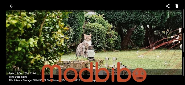 65x24 film camera pro mod apk