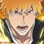BLEACH Soul Resonance icon