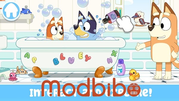 bluey let's play circus full episode