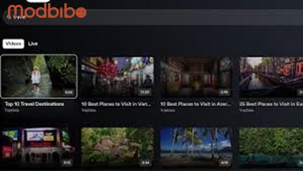 Cine Duo APK Download Free