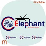 Elephant TV icon