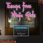 Escape from Ninja Girls icon