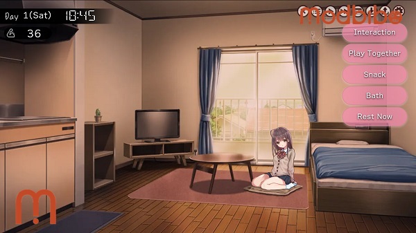 living together apk guide