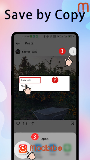 snapinsta apk download