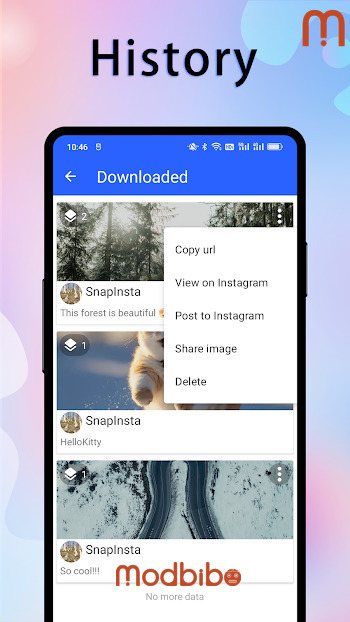 snapinsta apk latest version