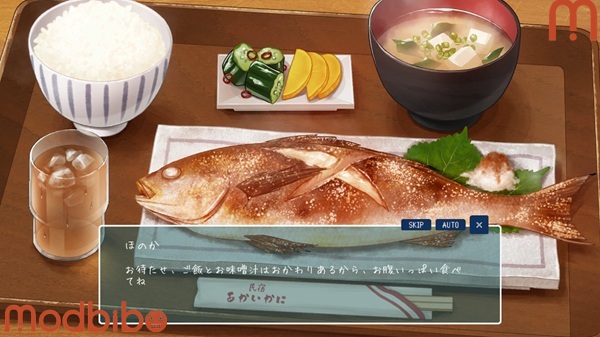 summer 14 days vacation download