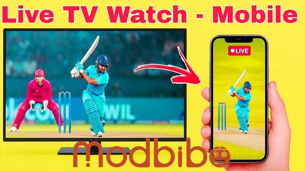 AV JUST Fill SIR 2025 