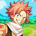FAIRY TAIL Wizard Chronicle icon