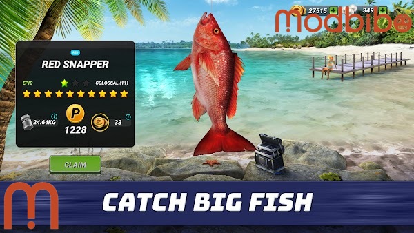 fishing clash apk