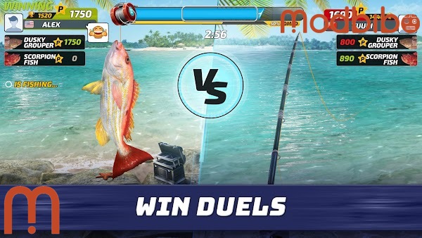 fishing clash apk download
