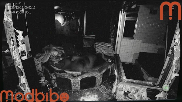 Japan Stigmatized Property2 game