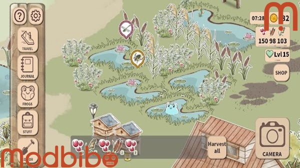 kamaeru a frog refuge