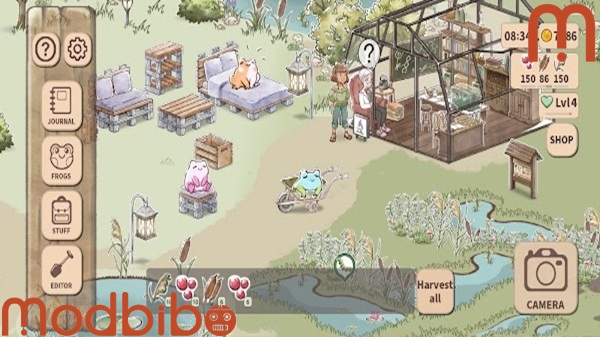 kamaeru a frog refuge android store