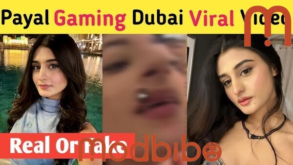 Payal Gaming Viral Video APK Mobile