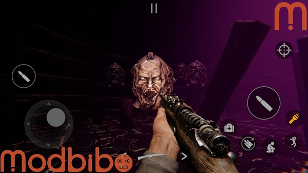 same room same day download