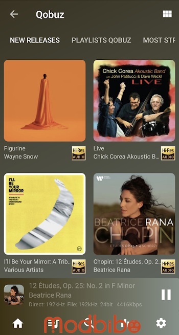 usb audio player pro mod apk latest version