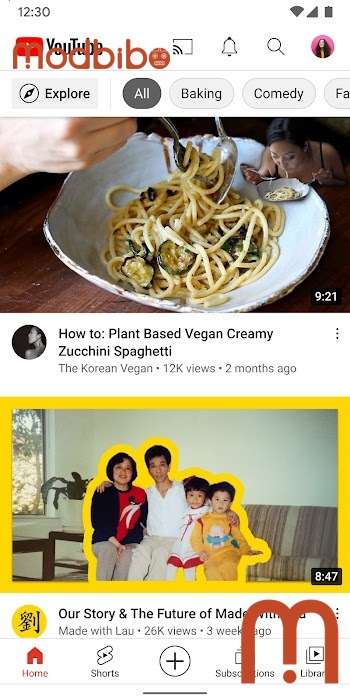 youtube morphe apk 4