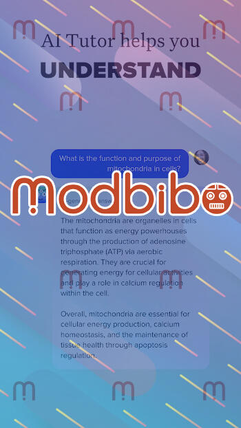 brainly mod apk latest version