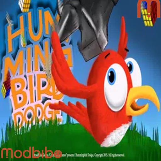 Hummingbird Game