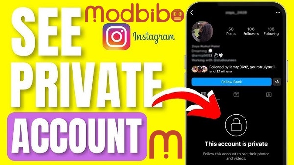 see private apk instagram