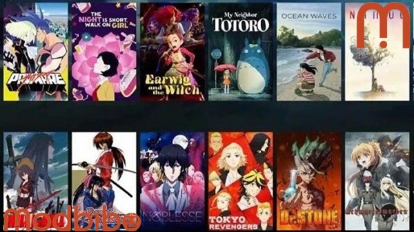 ToonStream net app