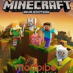 Minecraft v1.17.200