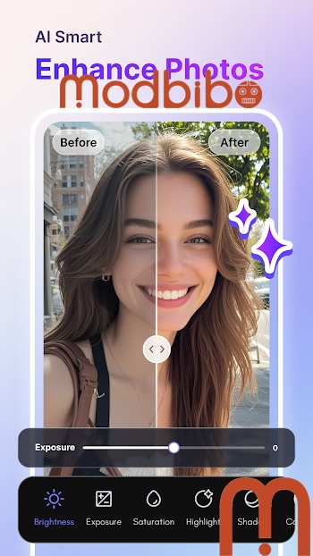 picma apk mod download