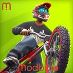 Touchgrind BMX 3