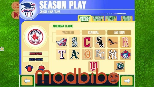 backyard baseball offline