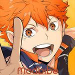 Haikyu Fly High