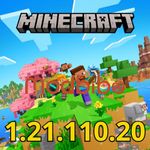Minecraft 1.21.110.20