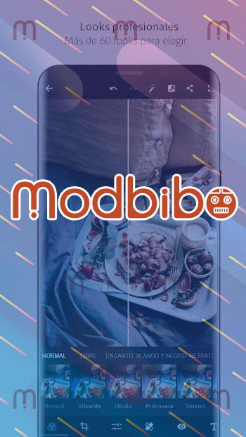 adobe photoshop express apk mod