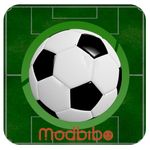Brasfoot 2025 Premium