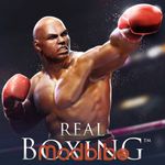 Real Boxing