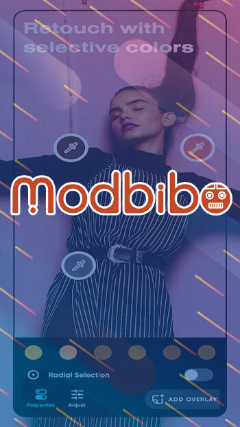 polarr mod apk old version