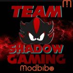 Shadow Bot