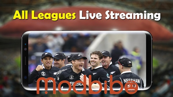 live cricket tv hd apk download