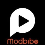 Pocket TV