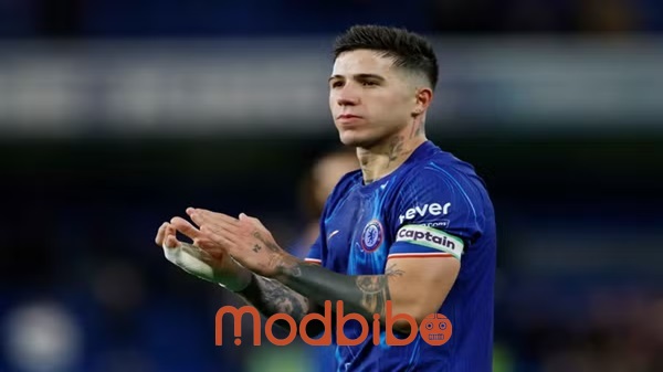 FawaNews sc APK For Android