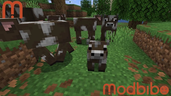 minecraft 26027 apk update
